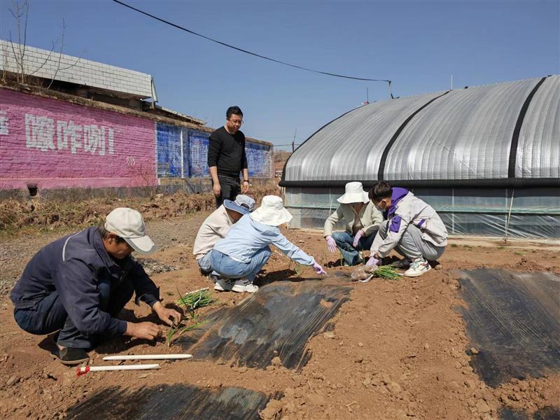 “蔬”送优质种苗  助农增收致富