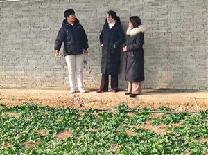 市农科院开展春季蔬菜种植技术指导服务