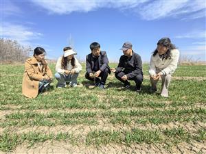 市农科院深入小麦示范点开展春管技术指导
