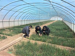 院领导赴崆峒试验站调研春耕备播工作