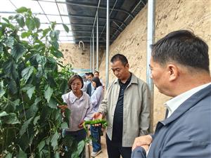 院领导调研示范点建设工作