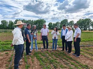 比利时根特大学教授来市农科院考察 交流草畜科研工作